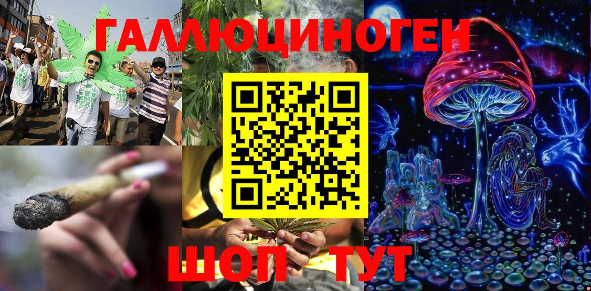 Псилоцибиновые грибы MAGIC MUSHROOMS  Вход с VPN  Галлюциногенные грибы Psilocybe  Россия 
