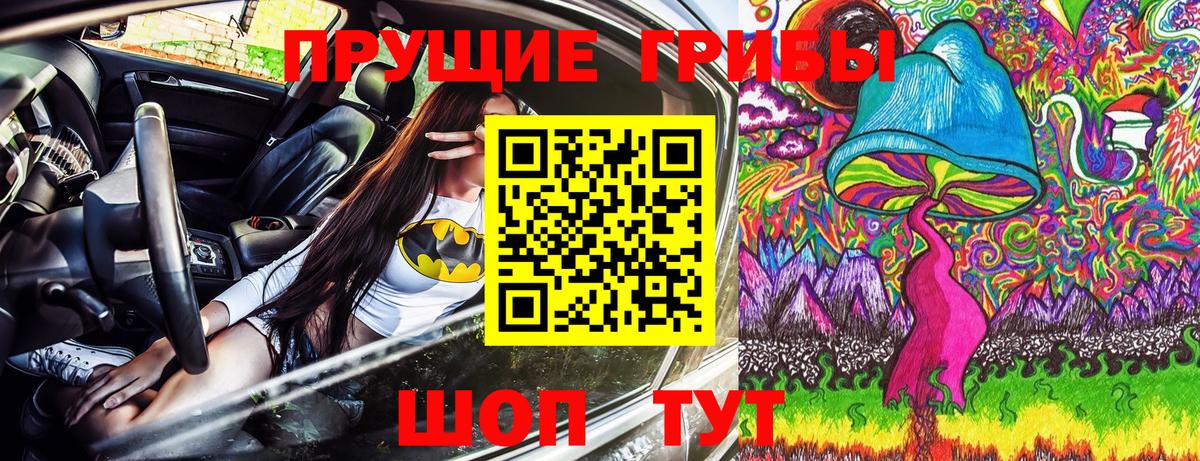 Псилоцибиновые грибы прущие грибы Россия